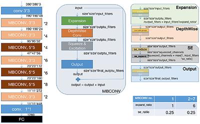 A Deep Learning Based Framework for Diagnosing Multiple Skin Diseases in a Clinical Environment